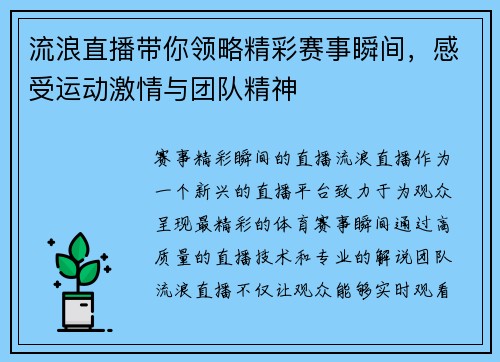 流浪直播带你领略精彩赛事瞬间，感受运动激情与团队精神